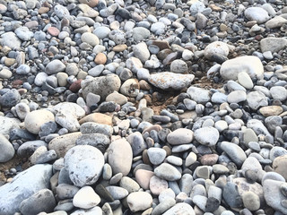 Rocks