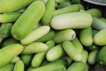 Fresh cucumbers for cooking in the market