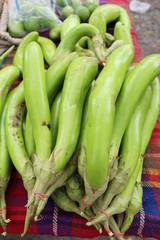 Fresh eggplant green organic at street food