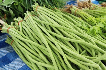 Long bean for cooking at street food