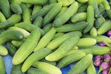 Fresh cucumbers for cooking in the market