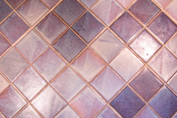 purple ceramic floor in the toilet, top view