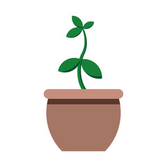 Tree plant pot leaf or leaves