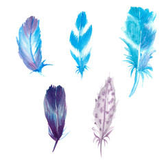Fototapeta na wymiar .Hand-drawn feathers, watercolor illustration. Set of multicolored feathers