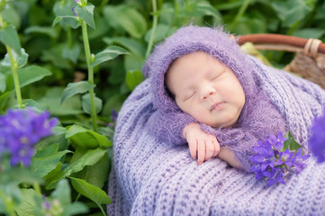 17 day old Smiling newborn baby is sleeping on his stomach in the basket on nature in the garden outdoor.