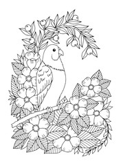 Vector illustration zentangl. The wavy parrot sits on a tree branch among flowers. Coloring book. Antistress for adults and children. Work done in manual mode. Black and white.