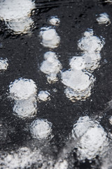 Bubbles in ice