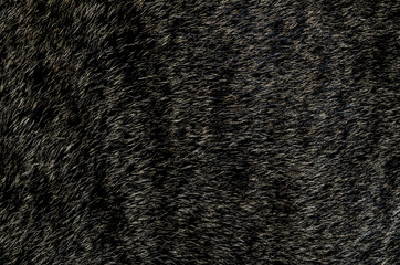 Background image caused by cat fur