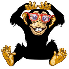 cartoon chimp ape or chimpanzee monkey with glasses smiling cheerful with a big smile on face showing teeth. Positive and happy emotion. Sitting pose. Front view. Isolated vector illustration