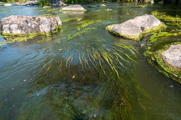 Beautiful view of the current Tikich river with stone boulders near Buky Canyon, Ukraine