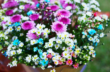 Summer flowers Colorful