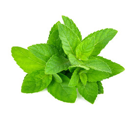 mint leafs isolated on a white background