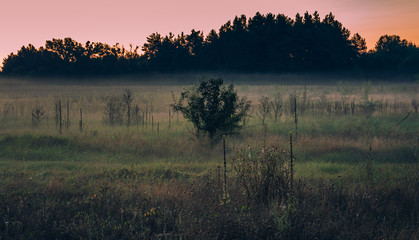 Sunrise on river