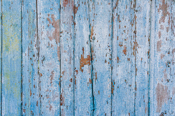 Old painted cracked boards, top view. Wood texture.