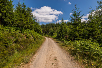 Typical Ardennes Landscape near Ovifat, Belgium