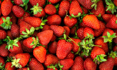 fresh Strawberry background. Fresh organic strawberries macro. Red strawberry background