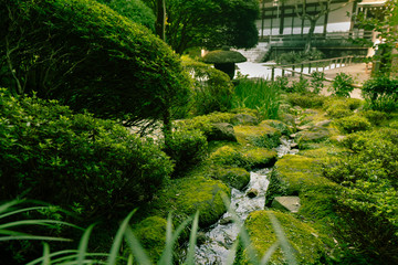 日本庭園 Japanese garden