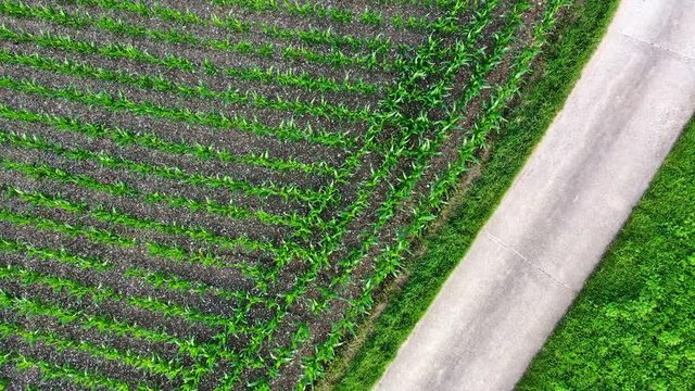 Agrarlandschaft von Oben - Kamerflug