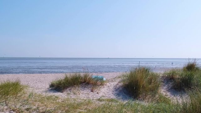 D&uuml;nengras am Strand, Meer im Hintergrund, Kamerafahrt, Totale