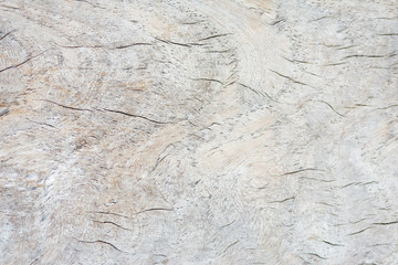 Wood texture background.Surface of wood with nature color and pattern. Top view of a wood or plywood for backdrop.