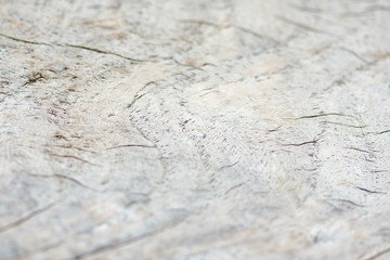 Wood texture background.Surface of wood with nature color and pattern. Top view of a wood or plywood for backdrop.