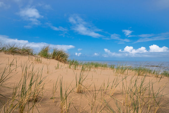 Wilde Dünenlandschaft an der Nordsee mit Grashalmen im Vordergrund  Hintergrund Meer und Himmel