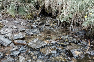 красота урала