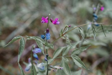 красота урала