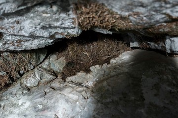 красота урала