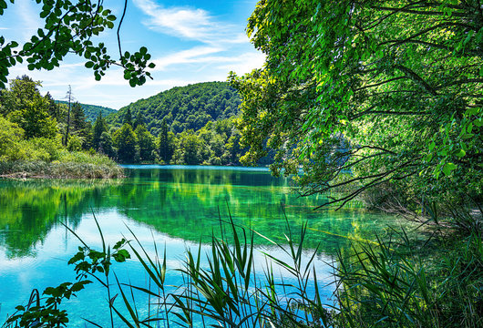 Nationalpark Plitvicer Seen Landschaft mit B&uuml;schen im Vordergrund