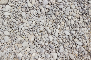 Pebble stone texture on the ground. Close up.