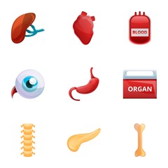 Human organs icon set. Cartoon set of 9 human organs vector icons for web design isolated on white background