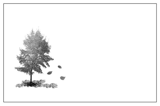 Trauer, wei&szlig;es Bild mit Baum und fallenden Bl&auml;ttern