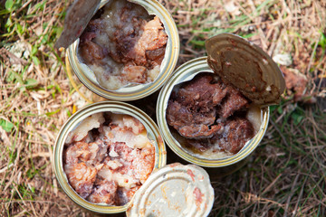 Beef stew in three opened cans