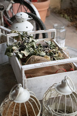 still life with flower pots