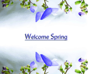spring background with flowers
