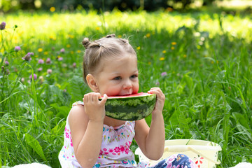 Happy little girl eating water melon in the summer park