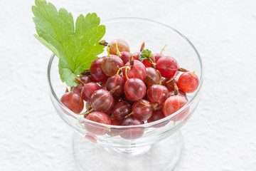 セイヨウスグリの実