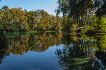 The color of nature over glass water