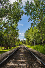 Fototapeta premium railway in the forest