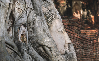 Fototapeta na wymiar Close up Ancient Budda Head in roots at Ayutthaya