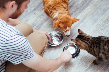 owner feeds the dog and the cat together. Two empty bowls. Kitchen. Close-up. Pet food concept