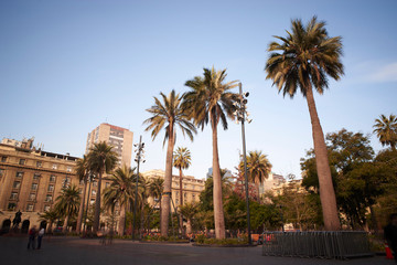 Plaza de Armas and its palm trees in the city of Santiago de Chile