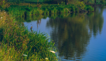 Nature beauty