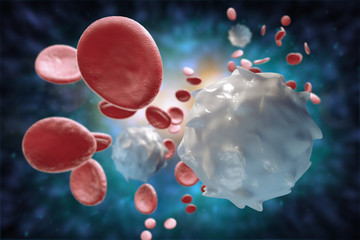 Fototapeta premium Red White Blood Cells 3D Illustration