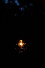 old lamp on black background night