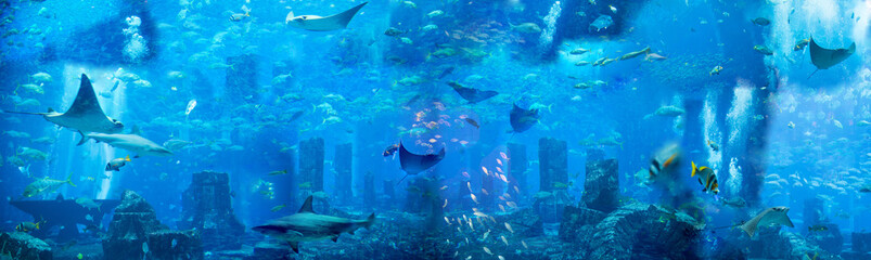 Fototapeta premium Under the sea. Generated illustration with under the water theme, fishes and sea creatures 