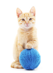 Red cat with a ball.