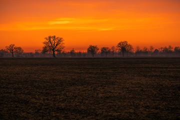 Fototapeta na wymiar Sunset in the field