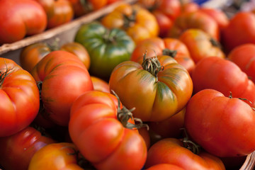 lots of tomatoes on a branch on counter